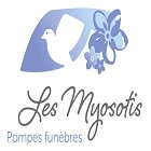 les-myosotis-clement-perrot