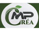 mp-crea