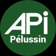 apimmobilier-pelussin