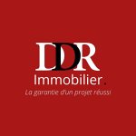ddr-immobilier-verneuil