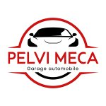 pelvi-meca-mobil