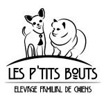 les-ptits-bouts