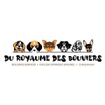 du-royaume-des-bouviers