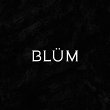 blum-club