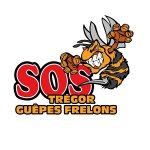 sos-tregor-guepes-frelons