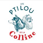 les-pti-lou-de-la-colline