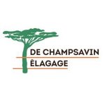 de-champsavin-elagage