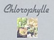 chlorophylle