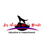 les-chiens-de-la-yaute