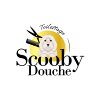 salon-de-toilettage-scooby-douche