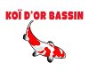 koi-d-or-bassin