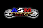 auto-service-maule