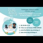 bulle-dog-toilettage