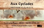 a-c-f-aux-cyclades