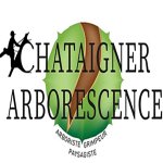 chataigner-arborescence