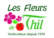 les-fleurs-de-thil