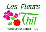 les-fleurs-de-thil