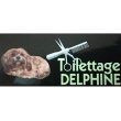 toilettage-delphine