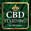 cbd-stardawg-cagnes-sur-mer-by-cbd-queen