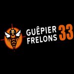 guepier-frelons-33