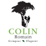 colin-romain-grimpeur-elagueur