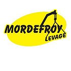 mordefroy-levage