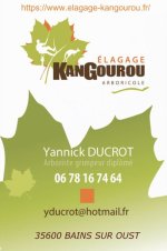 kangourou-arboricole-elagage