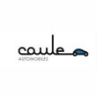 ford-caule-automobile