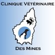 clinique-veterinaire-des-mines