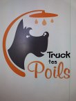 truck-tes-poils