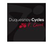 duquesnoy-cycles