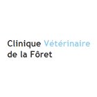 clinique-veterinaire-fatoux-proton-scp