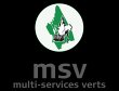 msv---multi-services-verts-agence-de-lannion