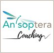 anisoptera-coaching