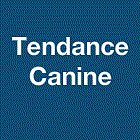 tendance-canine