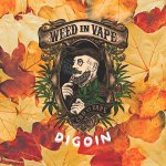 weed-in-vape-digoin