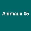 animaux-05