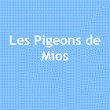 les-pigeons-de-mios
