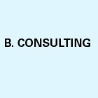 b-consulting