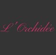 l-orchidee