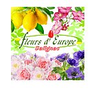 jardinerie-fleurs-d-europe--salignac