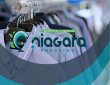 niagara-pressing-nacarat