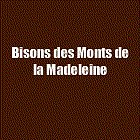 bisons-des-monts-de-la-madeleine