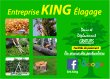 king-elagage-34