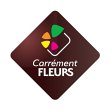 carrement-fleurs