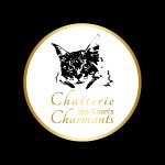 chatterie-des-coon-s-charmants