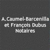 agnes-caumel-barcenilla-et-francois-dubus-scp