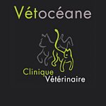 clinique-veterinaire-vetoceane