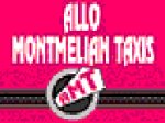 allo-montmelian-taxis