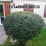 les-jardins-brico